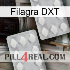 Filagra DXT 17